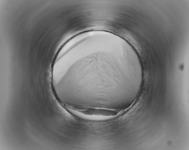 X0000098211428200805221617