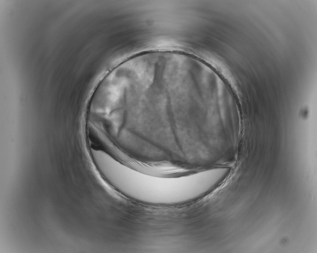 X0000098211429200805221617