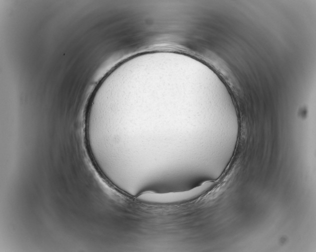 X0000098211430200805221617