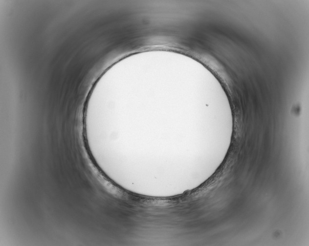 X0000098211431200805221617