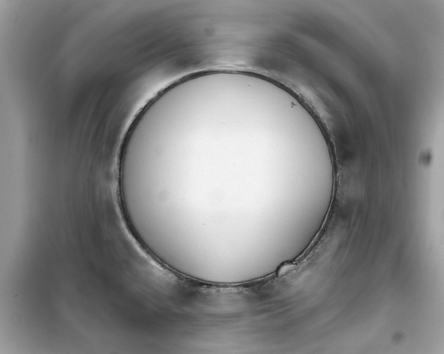 X0000098211432200805221617