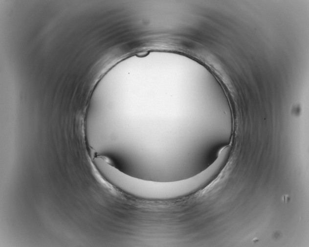 X0000098211433200805221617