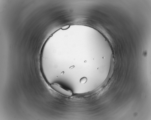 X0000098211434200805221618
