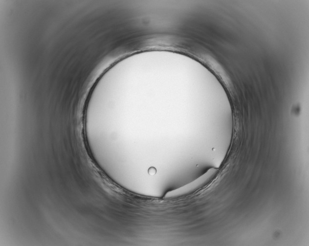 X0000098211435200805221618