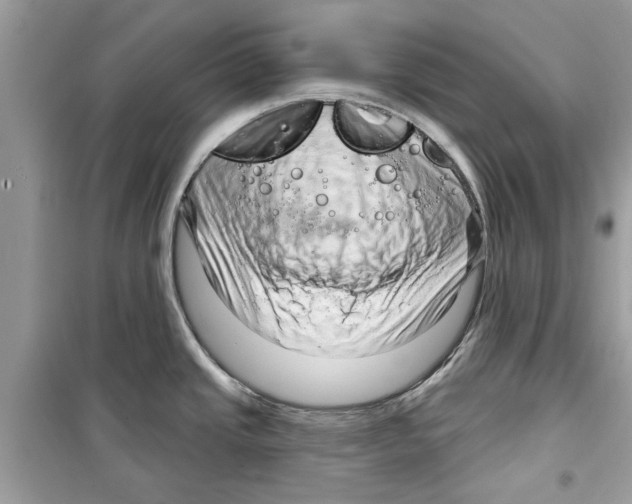 X0000098211437200805221618