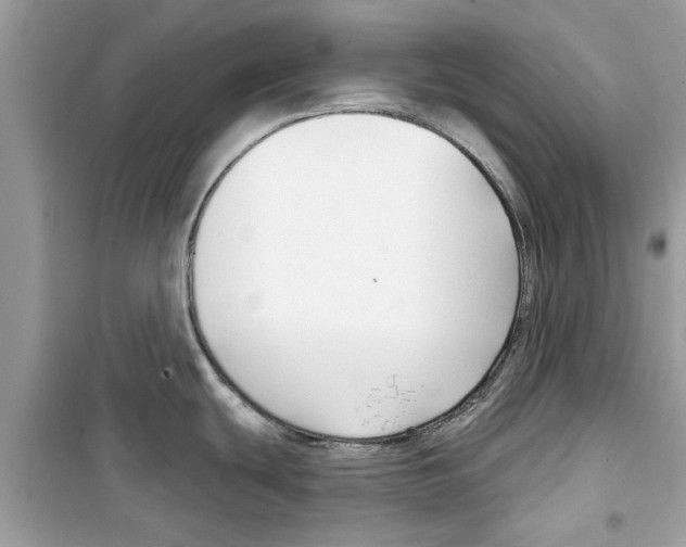 X0000098211439200805221618