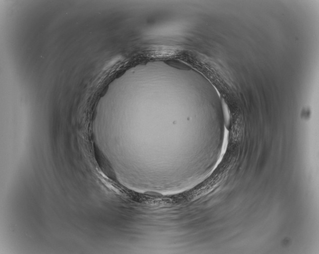 X0000098211441200805221617