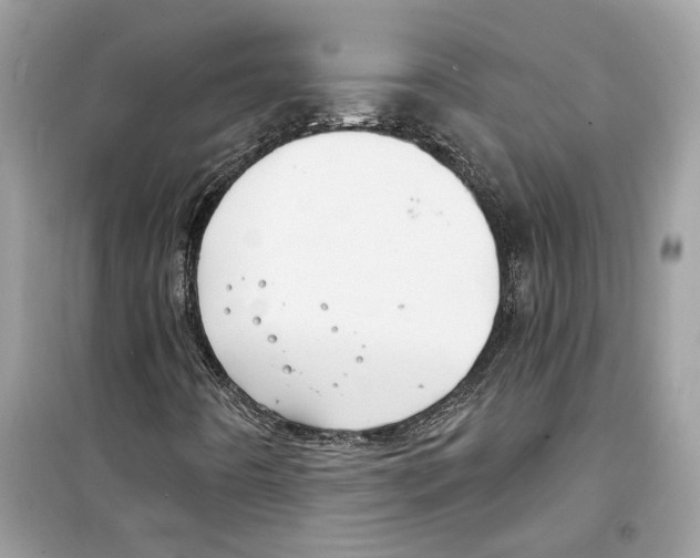 X0000098211442200805221617