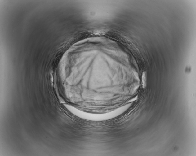 X0000098211443200805221617