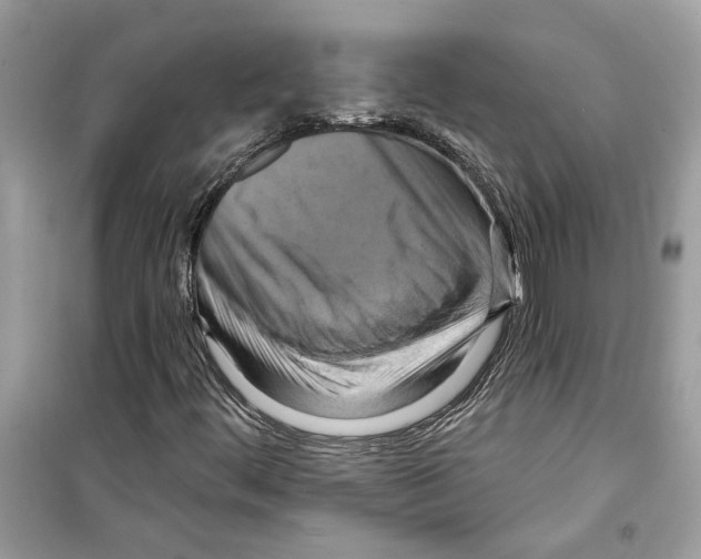 X0000098211444200805221617