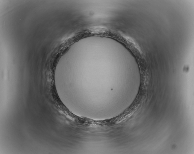 X0000098211445200805221617