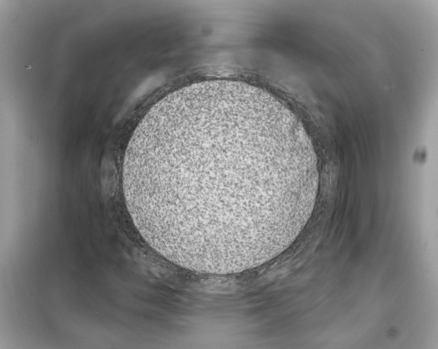 X0000098211446200805221617