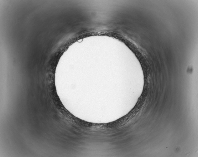 X0000098211447200805221617