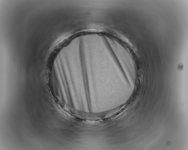 X0000098211448200805221617