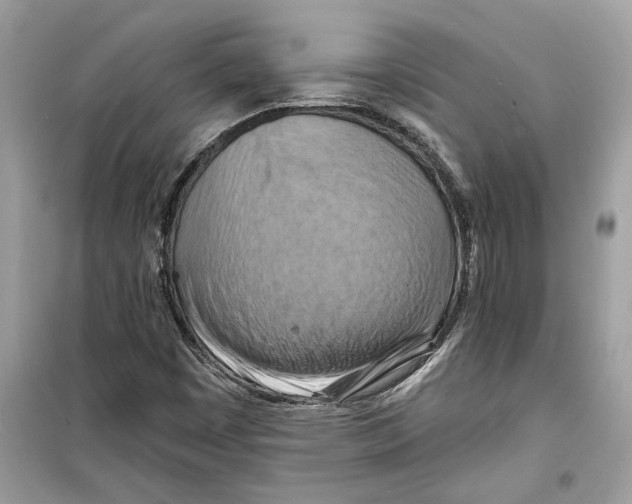X0000098211449200805221617