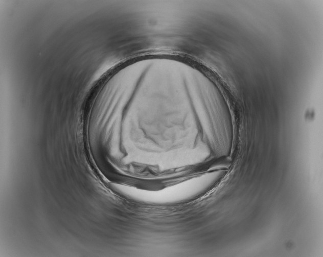 X0000098211450200805221617