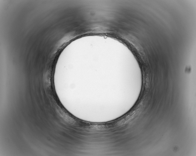 X0000098211451200805221617