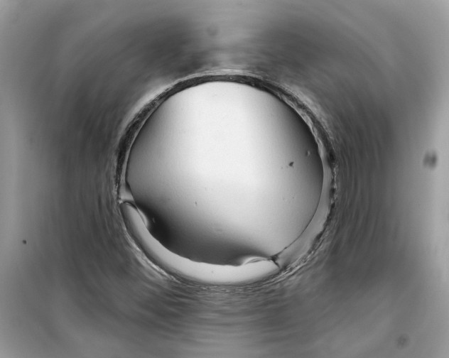 X0000098211452200805221617