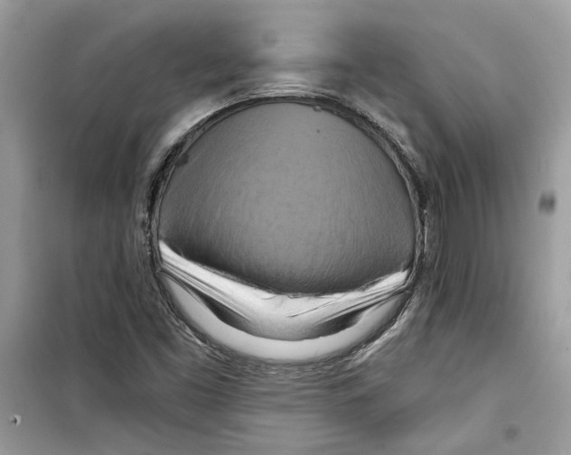 X0000098211453200805221617