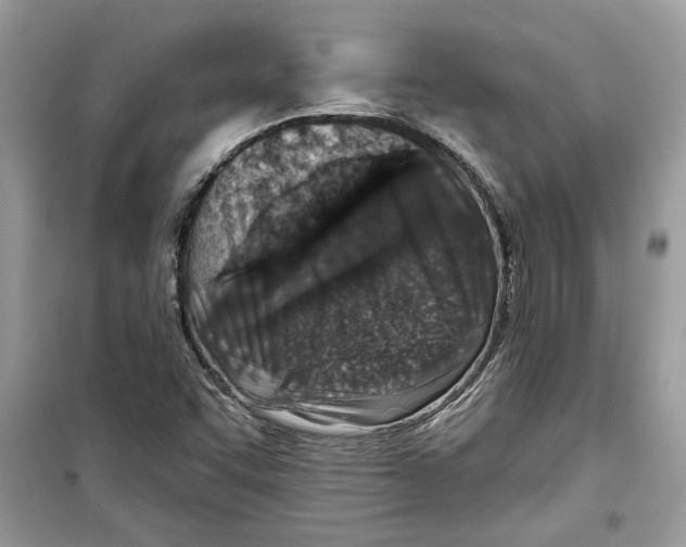 X0000098211455200805221617
