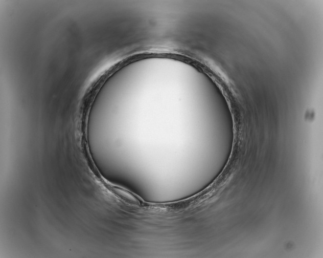 X0000098211456200805221617