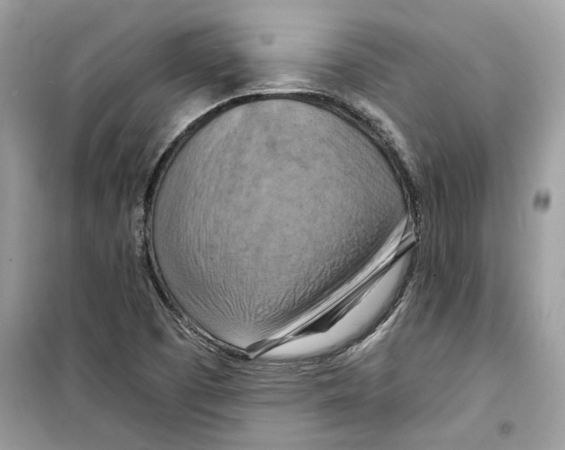 X0000098211457200805221617