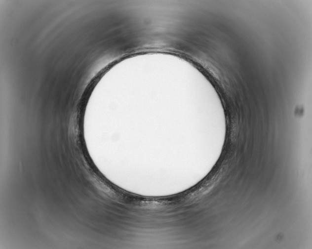 X0000098211458200805221617