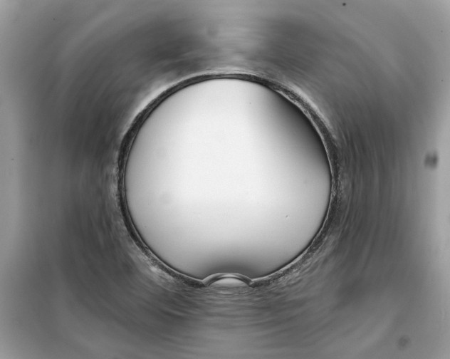 X0000098211460200805221617