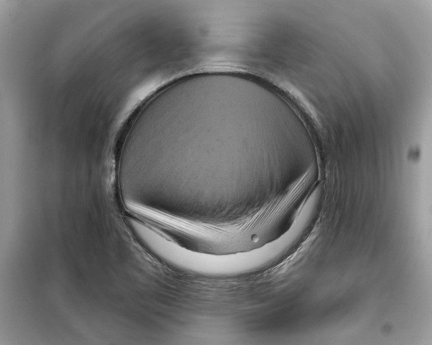 X0000098211461200805221617