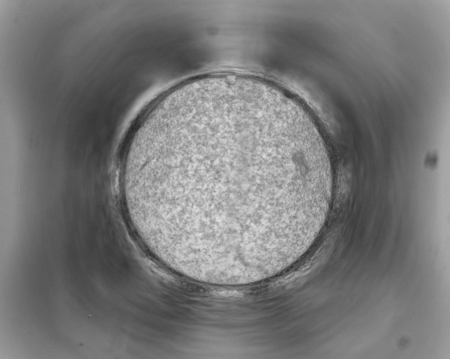 X0000098211462200805221616