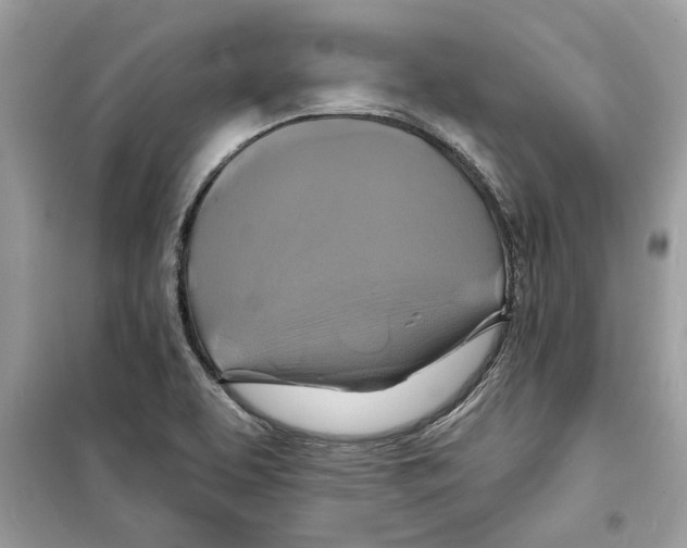 X0000098211463200805221616