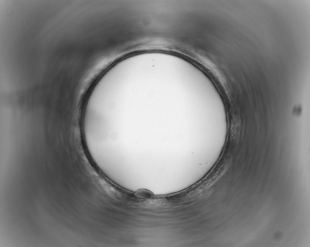 X0000098211464200805221616