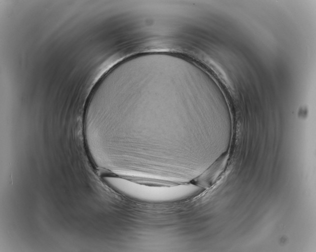 X0000098211465200805221616