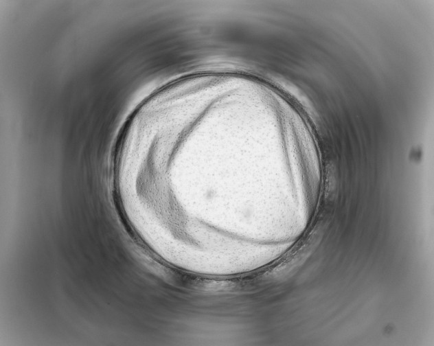 X0000098211467200805221616