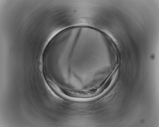X0000098211468200805221616