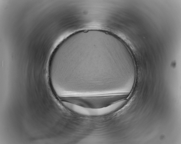 X0000098211469200805221616