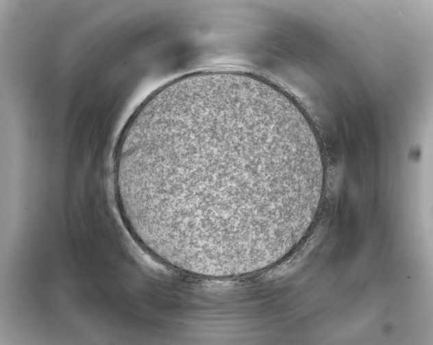X0000098211470200805221616