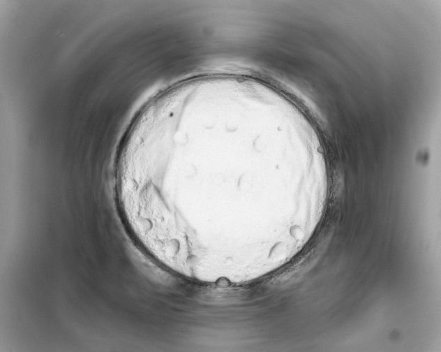 X0000098211471200805221616