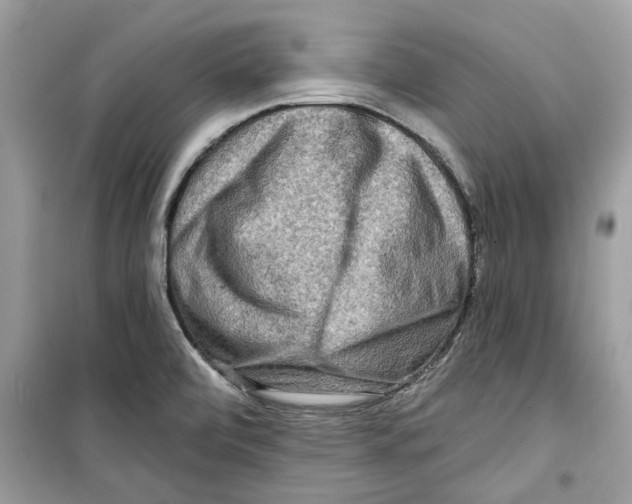 X0000098211472200805221616