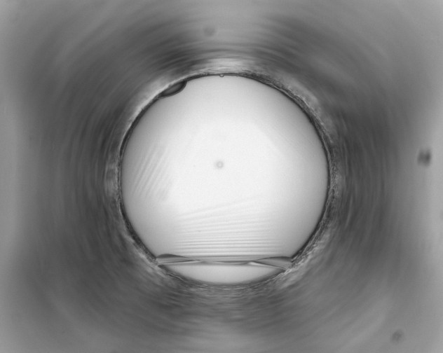 X0000098211473200805221616