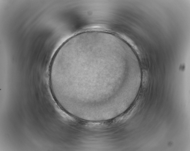 X0000098211474200805221616