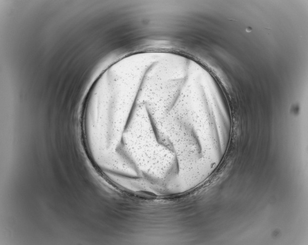 X0000098211475200805221616