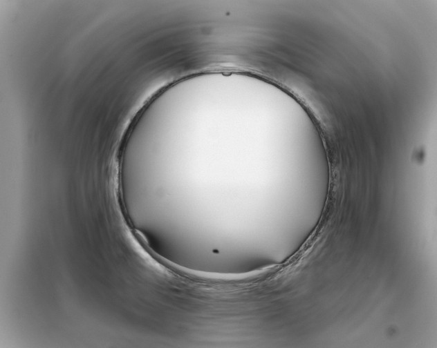 X0000098211476200805221616