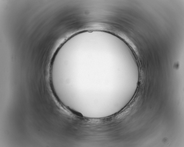 X0000098211477200805221616