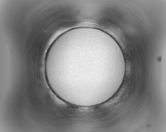 X0000098211478200805221616