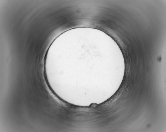 X0000098211479200805221616