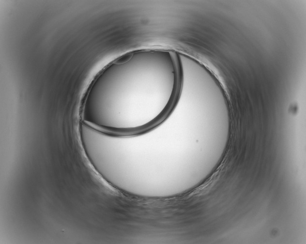 X0000098211480200805221616