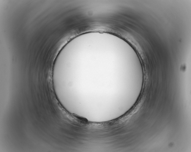 X0000098211481200805221616