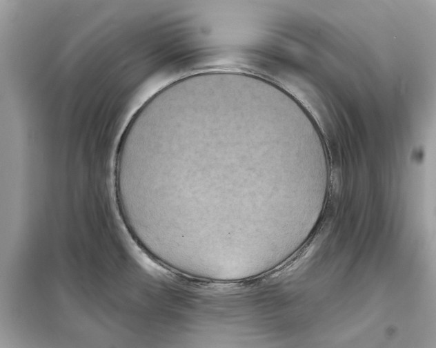 X0000098211482200805221616