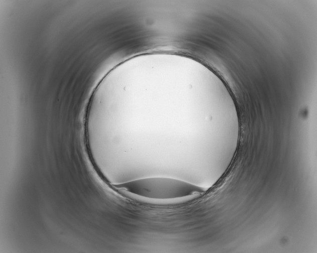 X0000098211483200805221616